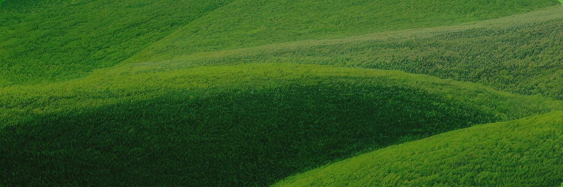 yabo网页版手机版(官方)vip官方网站·IOS/安卓通用版/APP